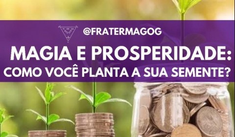 Magia e Prosperidade: Como você planta sua semente?