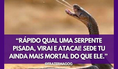RÁPIDO QUAL UMA SERPENTE PISADA, VIRAI E ATACAI! SEDE TU AINDA MAIS MORTAL DO QUE ELE.