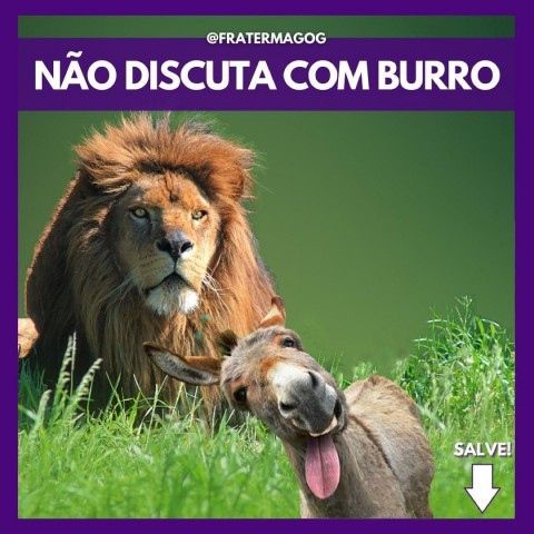 Não discuta com burro