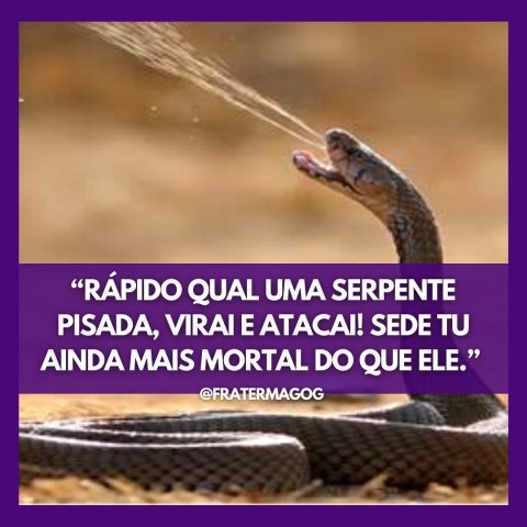 RÁPIDO QUAL UMA SERPENTE PISADA, VIRAI E ATACAI! SEDE TU AINDA MAIS MORTAL DO QUE ELE.